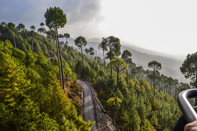 Quelles sont les plus belles routes à travers les forêts tropicales ?