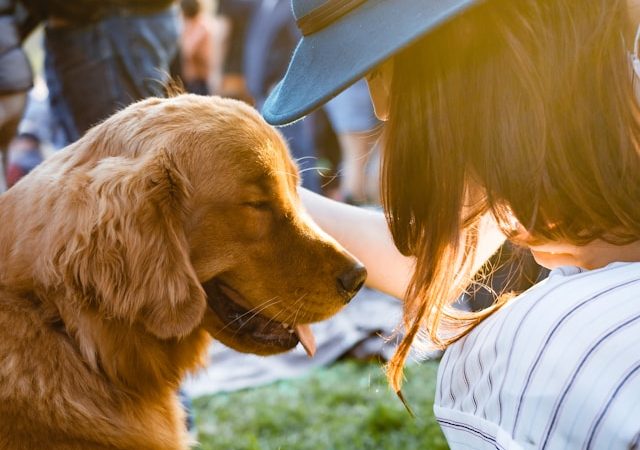 Les bénéfices inattendus des animaux de compagnie sur le bien-être mental