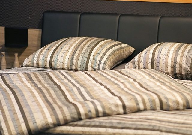 Que faire si vous avez repéré une seule punaise de lit ?