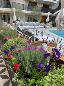 Hôtels-restaurants Salon-de-Provence