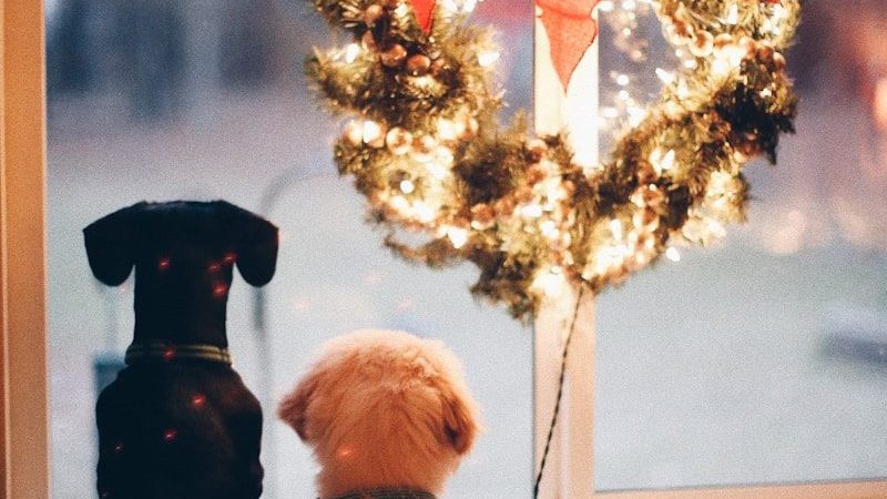 Traditions de noël à travers le monde et leur origine